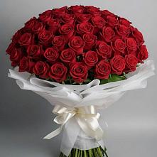 Букет 101 Красная роза Блэк Мэджик #REPLACE_PRED# Вельяминово