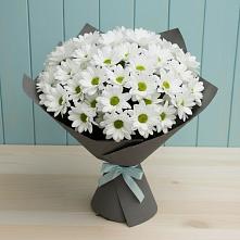 Букет цветов из:  Хризантемы в Вельяминово