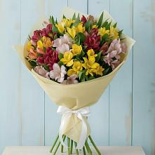 Букет цветов из:  Альстромерии #REPLACE_PRED# Вельяминово