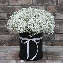 Цветочная композиция из Гипсофила в шляпной коробке в Вельяминово
