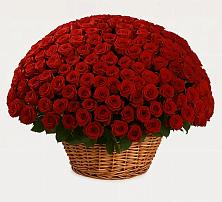 Премиум букет из: Розы в Вельяминово