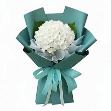 Букет цветов из:  Гортензия в Вельяминово